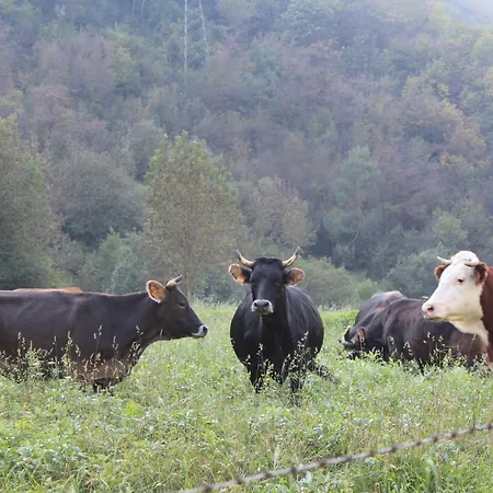 Séjour à la ferme Biobio *