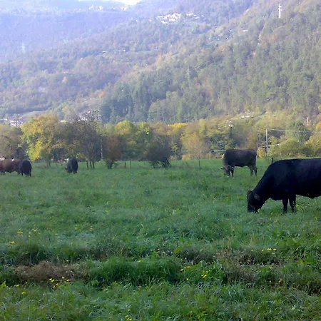 Séjour à la ferme Biobio